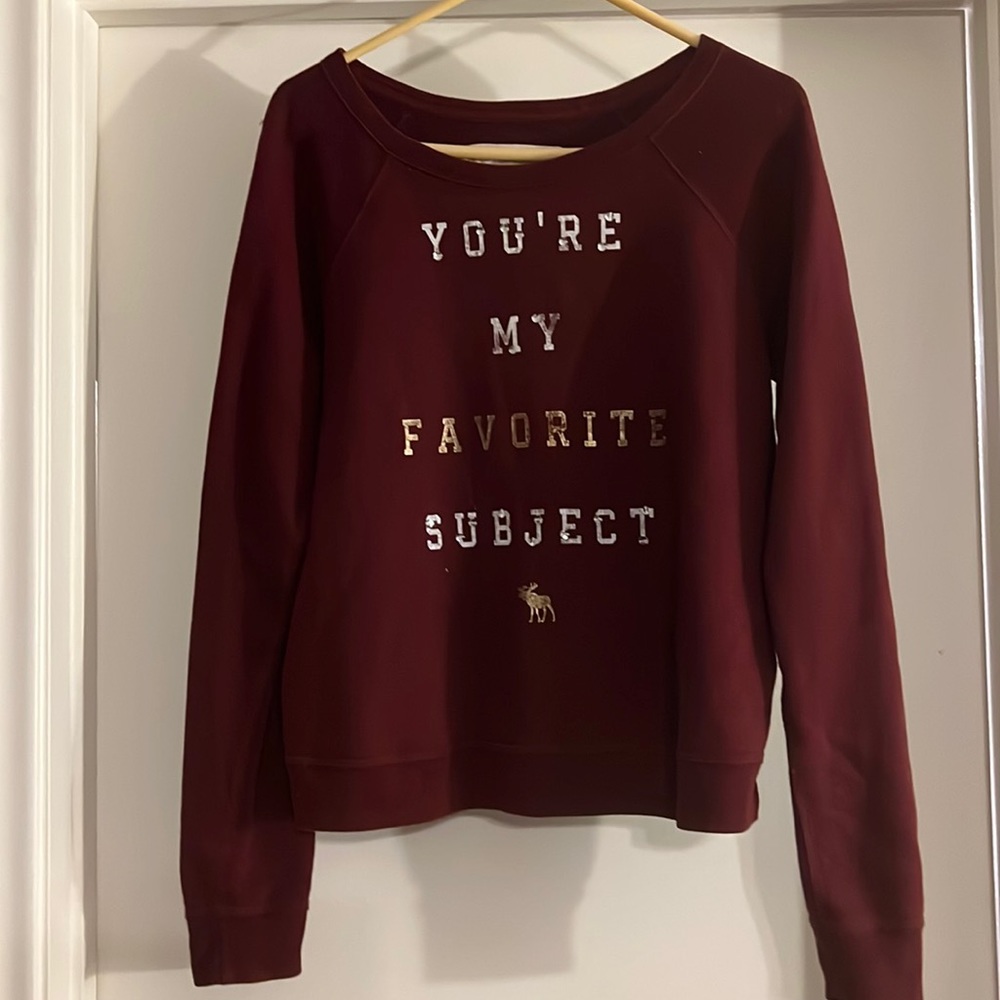 Abercrombie & Fitch sweater